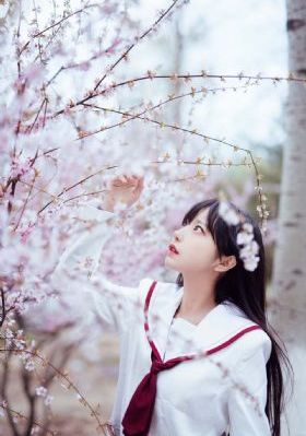 伦理直播